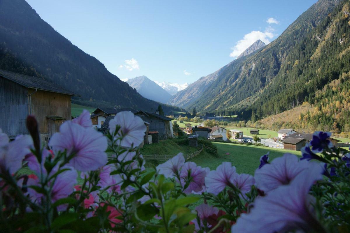 Apartment Voellenklee Neustift im Stubaital Esterno foto
